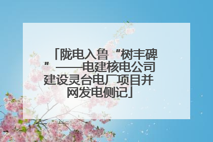 陇电入鲁“树丰碑”——电建核电公司建设灵台电厂项目并网发电侧记