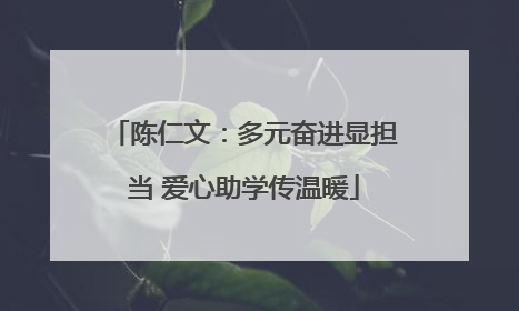 陈仁文：多元奋进显担当 爱心助学传温暖