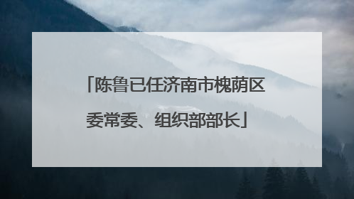 陈鲁已任济南市槐荫区委常委、组织部部长