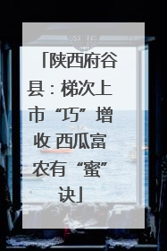 陕西府谷县：梯次上市“巧”增收 西瓜富农有“蜜”诀