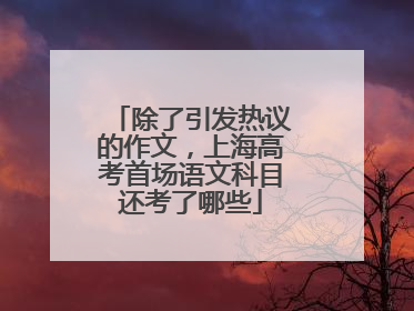 除了引发热议的作文，上海高考首场语文科目还考了哪些