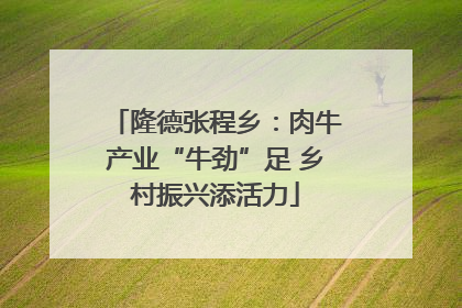 隆德张程乡：肉牛产业“牛劲”足 乡村振兴添活力