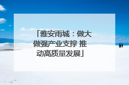 雅安雨城：做大做强产业支撑 推动高质量发展