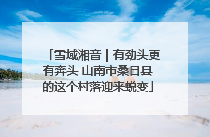 雪域湘音｜有劲头更有奔头 山南市桑日县的这个村落迎来蜕变