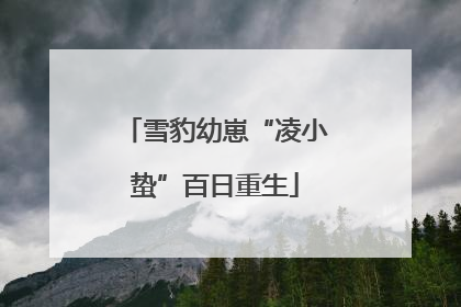雪豹幼崽“凌小蛰”百日重生