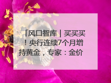 风口智库｜买买买！央行连续7个月增持黄金，专家：金价或仍易涨难跌