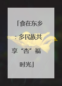 食在东乡：多民族共享“杏”福时光