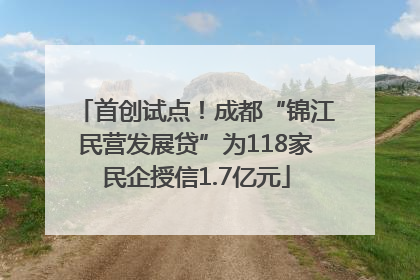 首创试点！成都“锦江民营发展贷”为118家民企授信1.7亿元