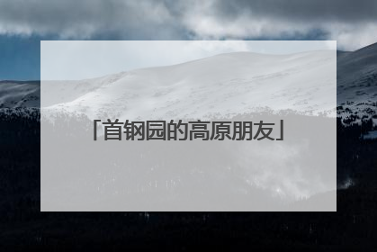首钢园的高原朋友