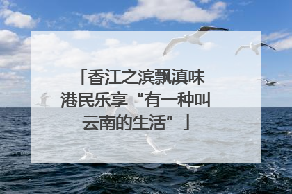 香江之滨飘滇味 港民乐享“有一种叫云南的生活”
