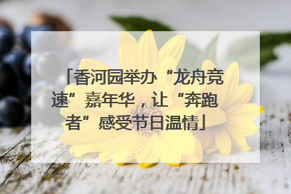 香河园举办“龙舟竞速”嘉年华，让“奔跑者”感受节日温情