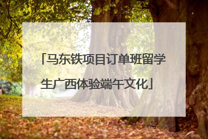 马东铁项目订单班留学生广西体验端午文化