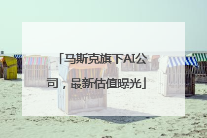 马斯克旗下AI公司，最新估值曝光