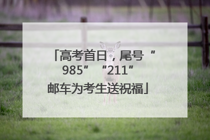高考首日，尾号“985”“211”邮车为考生送祝福