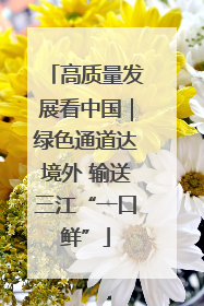 高质量发展看中国｜绿色通道达境外 输送三江“一口鲜”