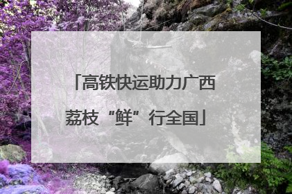 高铁快运助力广西荔枝“鲜”行全国