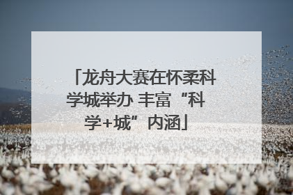 龙舟大赛在怀柔科学城举办 丰富“科学+城”内涵