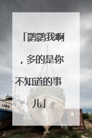 鹮鹮我啊，多的是你不知道的事儿