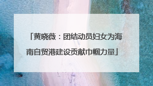 黄晓薇：团结动员妇女为海南自贸港建设贡献巾帼力量