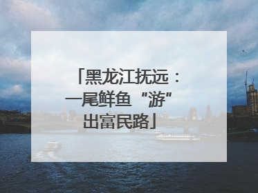 黑龙江抚远：一尾鲜鱼“游”出富民路