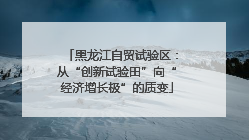 黑龙江自贸试验区：从“创新试验田”向“经济增长极”的质变