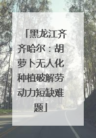 黑龙江齐齐哈尔：胡萝卜无人化种植破解劳动力短缺难题