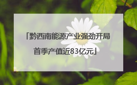 黔西南能源产业强劲开局 首季产值近83亿元