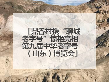 鼎香村携“聊城老字号”惊艳亮相第九届中华老字号（山东）博览会