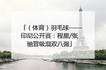 （体育）羽毛球——印尼公开赛：程星/张驰晋级混双八强