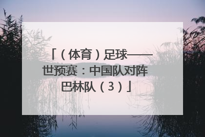 （体育）足球——世预赛：中国队对阵巴林队（3）