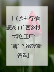 （乡村行·看振兴）广西乡村“绿色工厂” “蔬”写致富新答卷