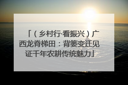 （乡村行·看振兴）广西龙脊梯田：背篓变迁见证千年农耕传统魅力