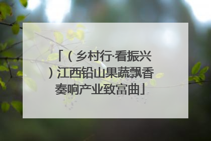 （乡村行·看振兴）江西铅山果蔬飘香 奏响产业致富曲