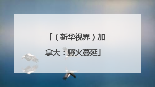 （新华视界）加拿大：野火蔓延