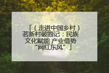 （走进中国乡村）茗新村破圈记：民族文化赋能 产业借势 “网红东风”