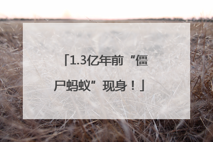 1.3亿年前“僵尸蚂蚁”现身！
