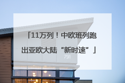 11万列！中欧班列跑出亚欧大陆“新时速”
