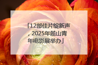 12部佳片绽新声，2025年麓山青年电影展举办