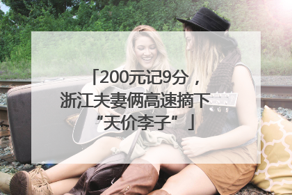 200元记9分，浙江夫妻俩高速摘下“天价李子”