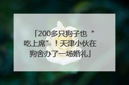 200多只狗子也“吃上席”！天津小伙在狗舍办了一场婚礼