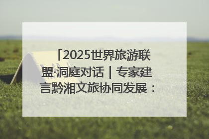 2025世界旅游联盟·洞庭对话｜专家建言黔湘文旅协同发展：聚焦产品稀缺性 深化区域经验共享