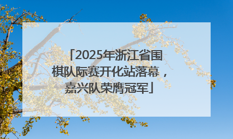 2025年浙江省围棋队际赛开化站落幕，嘉兴队荣膺冠军