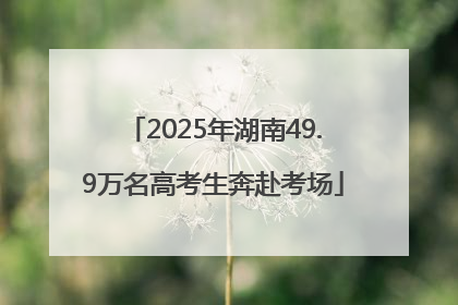 2025年湖南49.9万名高考生奔赴考场