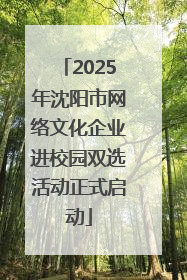 2025年沈阳市网络文化企业进校园双选活动正式启动