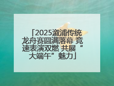 2025溆浦传统龙舟赛圆满落幕 竞速表演双燃 共展“大端午”魅力