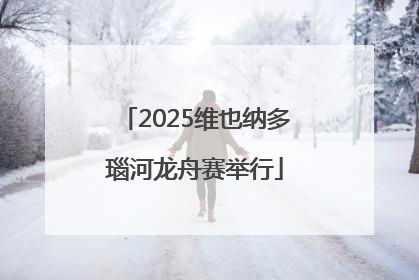 2025维也纳多瑙河龙舟赛举行