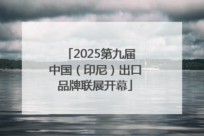 2025第九届中国（印尼）出口品牌联展开幕