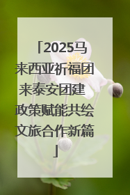 2025马来西亚祈福团来泰安团建 政策赋能共绘文旅合作新篇