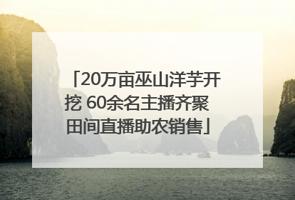 20万亩巫山洋芋开挖 60余名主播齐聚田间直播助农销售