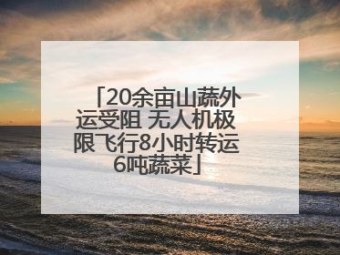20余亩山蔬外运受阻 无人机极限飞行8小时转运6吨蔬菜